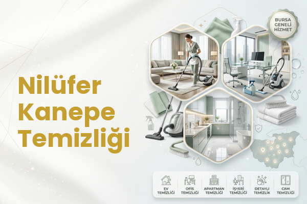Nilüfer Kanepe Temizliği